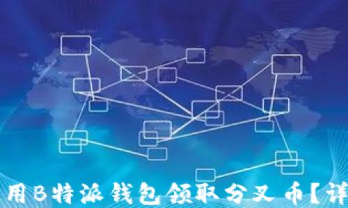 
如何使用B特派钱包领取分叉币？详尽指南