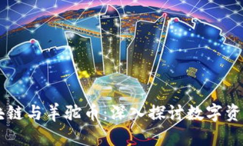 羊驼区块链与羊驼币：深入探讨数字资产的未来