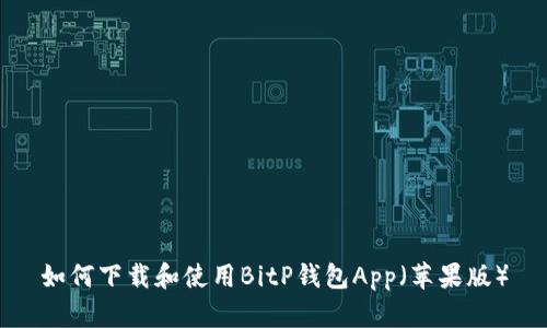 如何下载和使用BitP钱包App（苹果版）