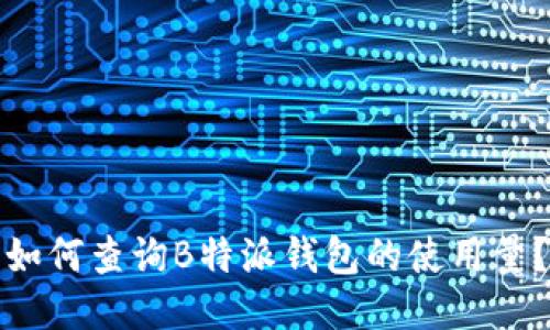 如何查询B特派钱包的使用量？
