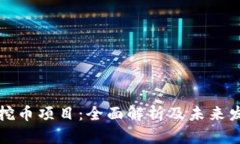区块链挖币项目：全面解