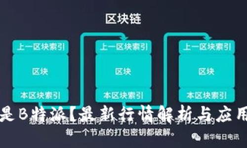 什么是B特派？最新行情解析与应用分析