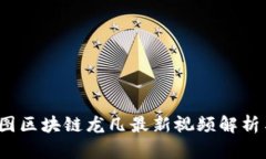 2023年树图区块链龙凡最新