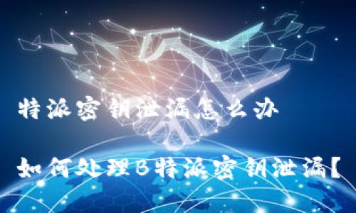 特派密钥泄漏怎么办

如何处理B特派密钥泄漏？