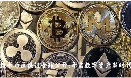 维卡币区块链全球公开：开启数字资产新时代