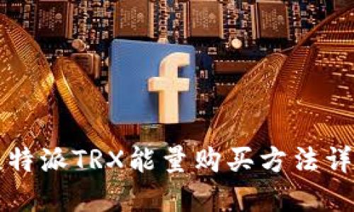比特派TRX能量购买方法详解