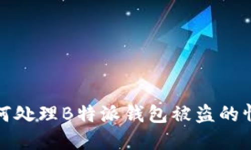 如何处理B特派钱包被盗的情况