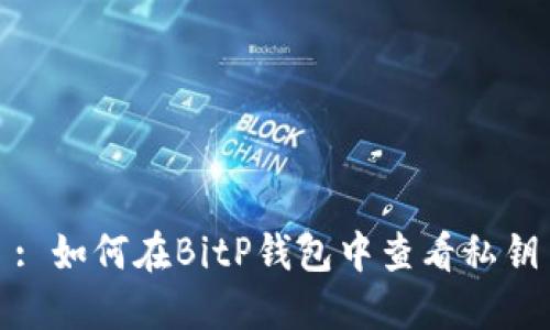 : 如何在BitP钱包中查看私钥