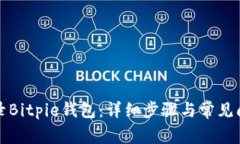 如何登录Bitpie钱包：详细