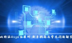 比特派Doge交易所：新手指