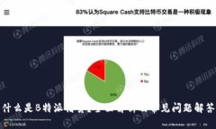 什么是B特派借贷？全面解