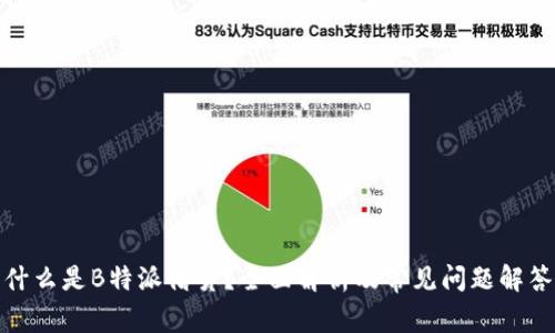 什么是B特派借贷？全面解析及常见问题解答
