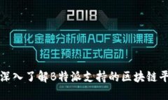 : 深入了解B特派支持的区