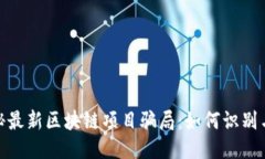 : 揭秘最新区块链项目骗局