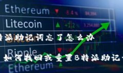 特派助记词忘了怎么办: