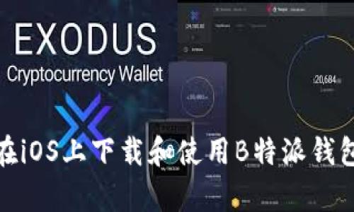 : 如何在iOS上下载和使用B特派钱包客户端