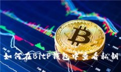 如何在BitP钱包中查看私钥