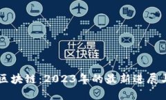 初识区块链：2023年的最新
