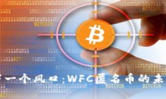 区块链下一个风口：WFC匿