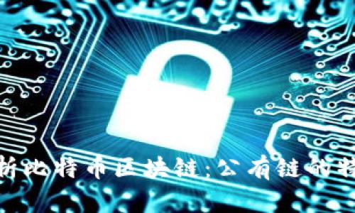 : 深入解析比特币区块链：公有链的特性与优势
