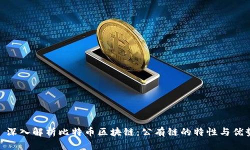 : 深入解析比特币区块链：公有链的特性与优势