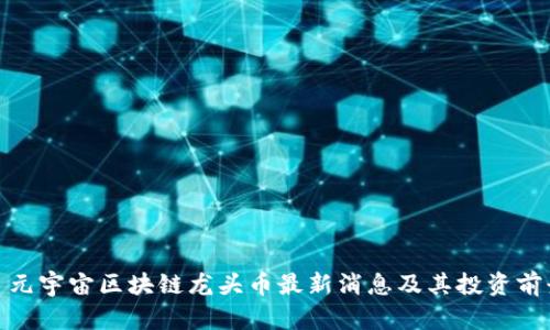 : 元宇宙区块链龙头币最新消息及其投资前景
