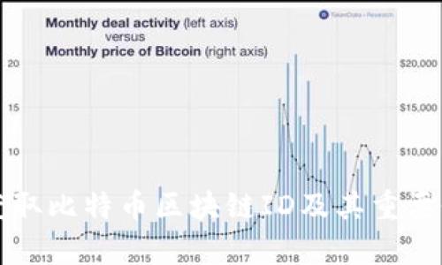 如何获取比特币区块链ID及其重要性解析