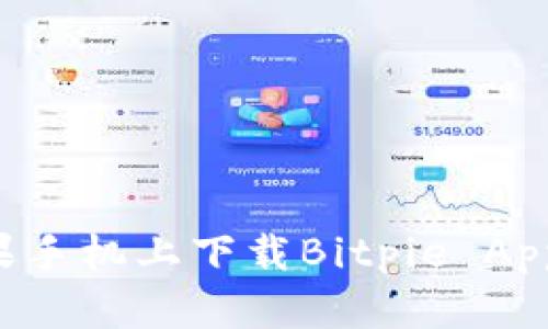 如何在苹果手机上下载Bitpie App：全面指南
