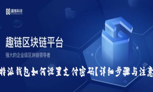 : 比特派钱包如何设置支付密码？详细步骤与注意事项