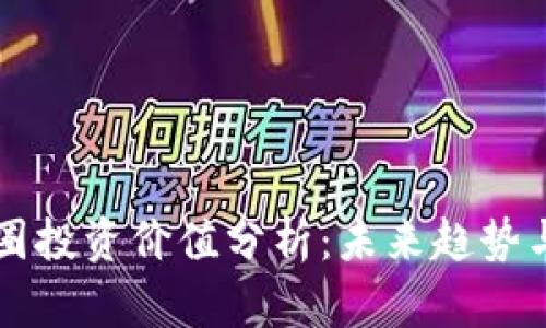 区块链币圈投资价值分析：未来趋势与风险解析