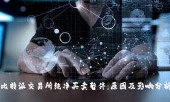 比特派交易所纯净买卖暂停：原因及影响分析