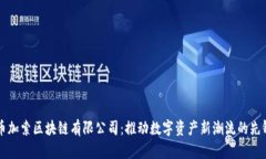 币加索区块链有限公司：