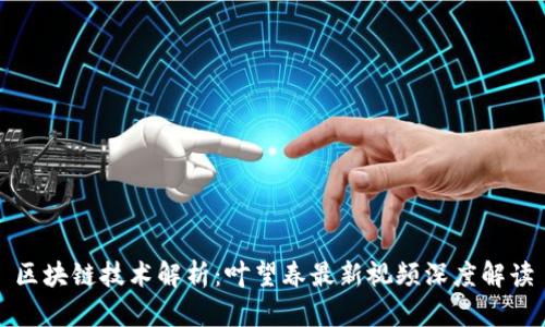 区块链技术解析：叶望春最新视频深度解读