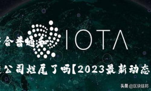 一个符合普通和:

区块链公司烂尾了吗？2023最新动态与分析