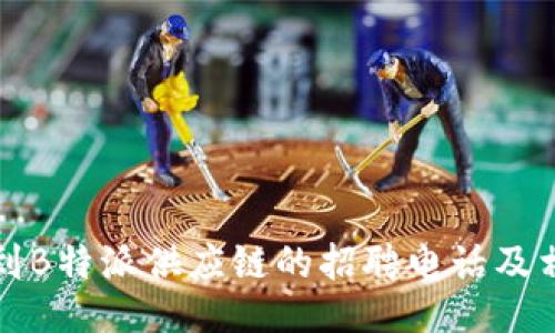 如何找到B特派供应链的招聘电话及相关信息