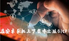 如何在安卓手机上下载中文版BitP钱包？
