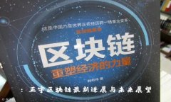 : 正宇区块链最新进展与未来展望