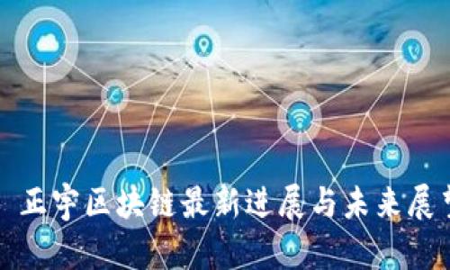 : 正宇区块链最新进展与未来展望