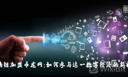 区块链加盟币龙网：如何参与这一数字经济的新机遇