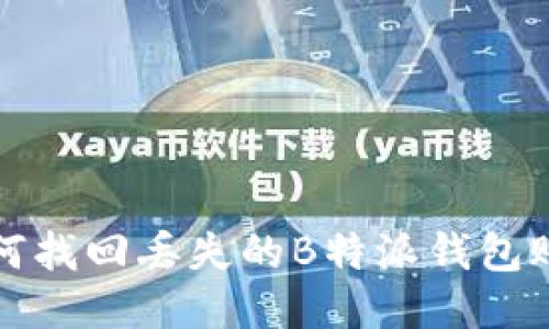如何找回丢失的B特派钱包账号