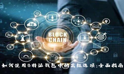 如何使用B特派钱包中的高级选项：全面指南