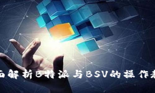 全面解析B特派与BSV的操作教程