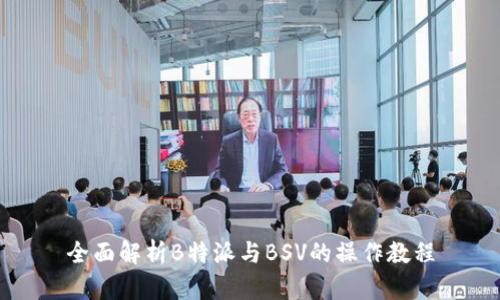 全面解析B特派与BSV的操作教程