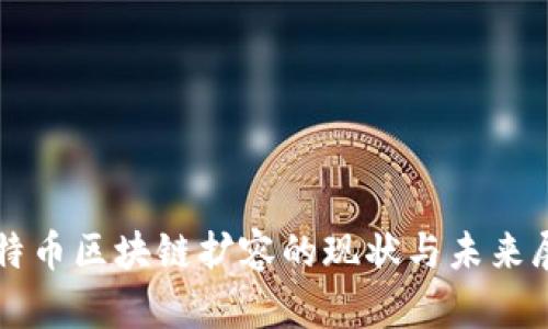 比特币区块链扩容的现状与未来展望