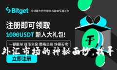 USD/CB：破解外汇市场的神