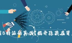 如何辨别B特派的真伪？揭