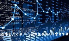 解锁数字资产之旅：Bitpie钱包最新APP官方下载指