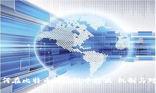 如何在比特币区块链中打假：机制与对策