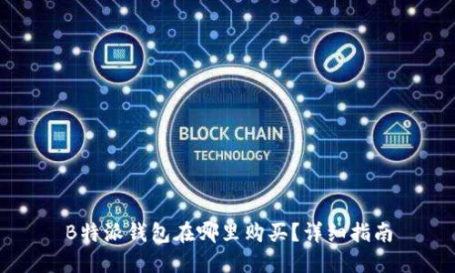B特派钱包在哪里购买？详细指南
