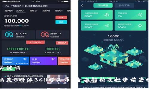 与关键词

什么是B特派BCH分叉币？全面解析及投资前景分析